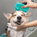 KONG ZoomGroom Bubbles