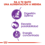 Royal Canin FHN Sensible 33