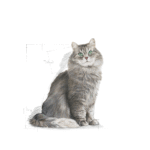 Royal Canin FHN Sensible 33