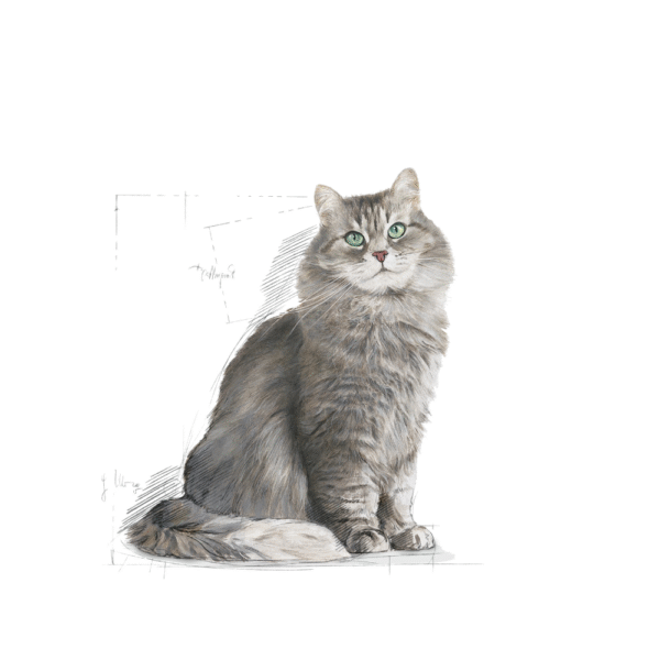 Royal Canin FHN Sensible 33