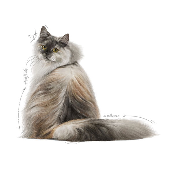 Royal Canin FCN Hair & Skin Care