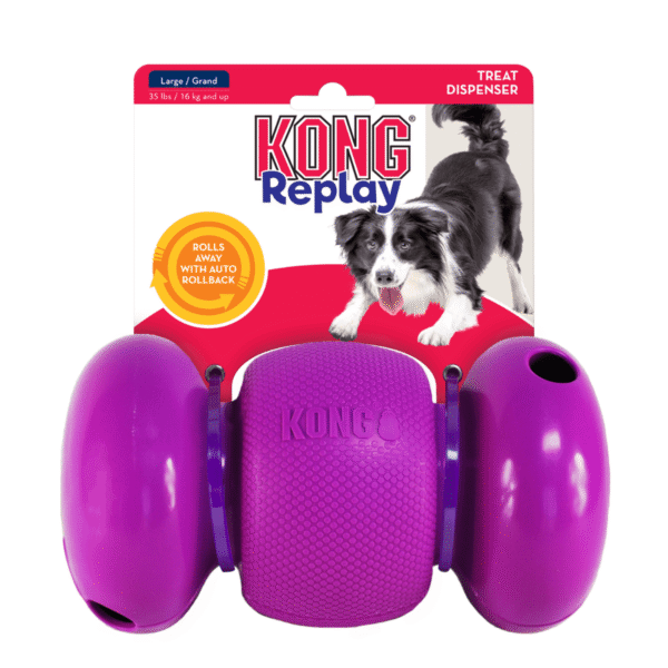 KONG Replay