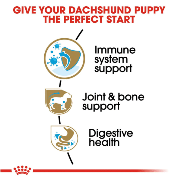 Royal Canin BHN Dachshund Puppy