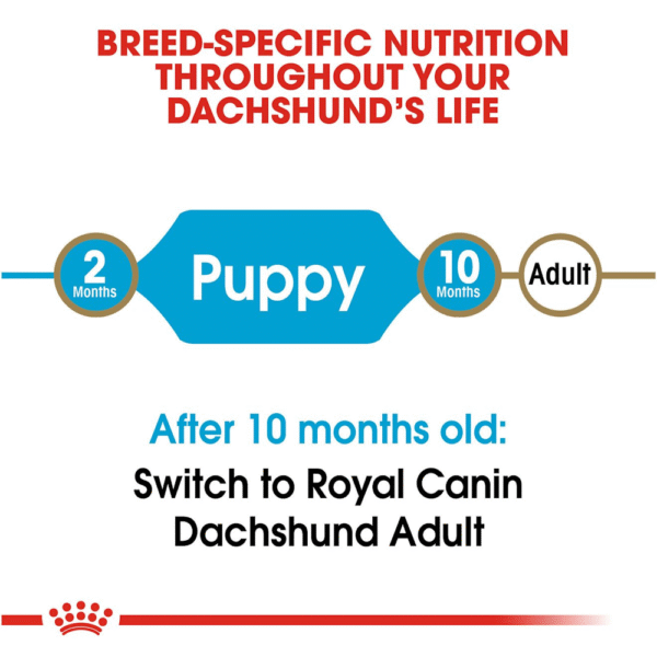 Royal Canin BHN Dachshund Puppy