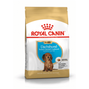 Royal Canin BHN Dachshund Puppy