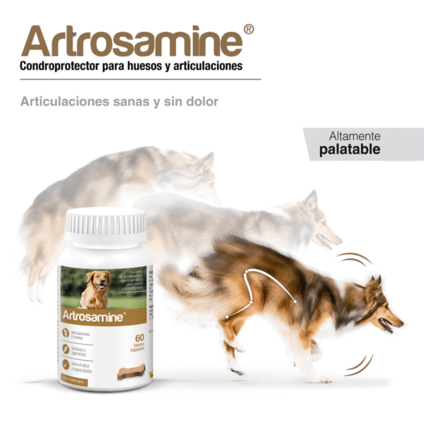 Artrosamine