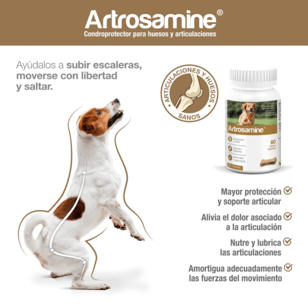 Artrosamine