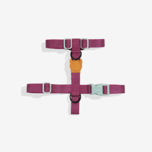 Zeedog NOX Sidus Dog H-Harness