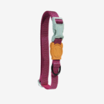 Zeedog Collar Nox Sidus