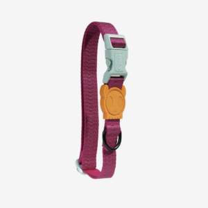 Zeedog Collar Nox Sidus
