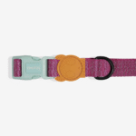 Zeedog Collar Nox Sidus