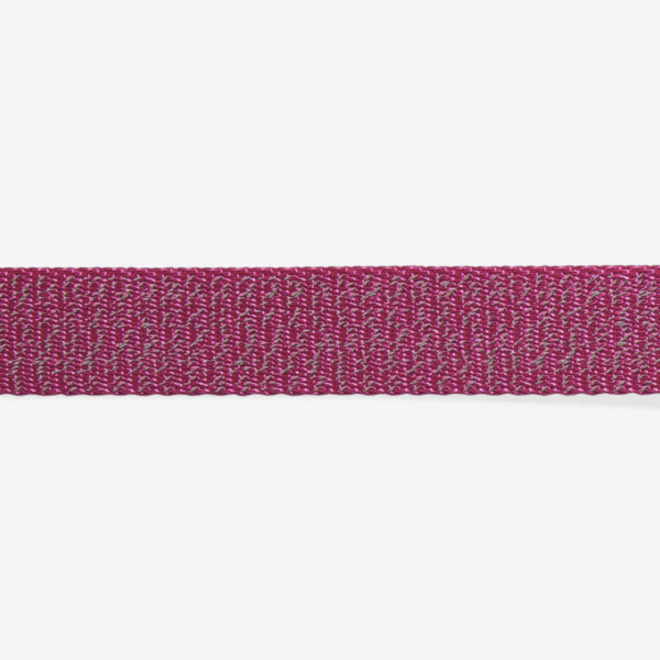 Zeedog Collar Nox Sidus