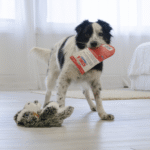 KONG Comfort Pups Ozzie Md