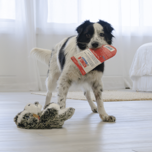 KONG Comfort Pups Ozzie Md