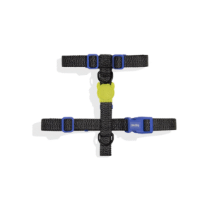 Zeedog Nox H-Harness