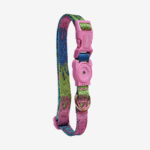 Zeedog Collar Melted