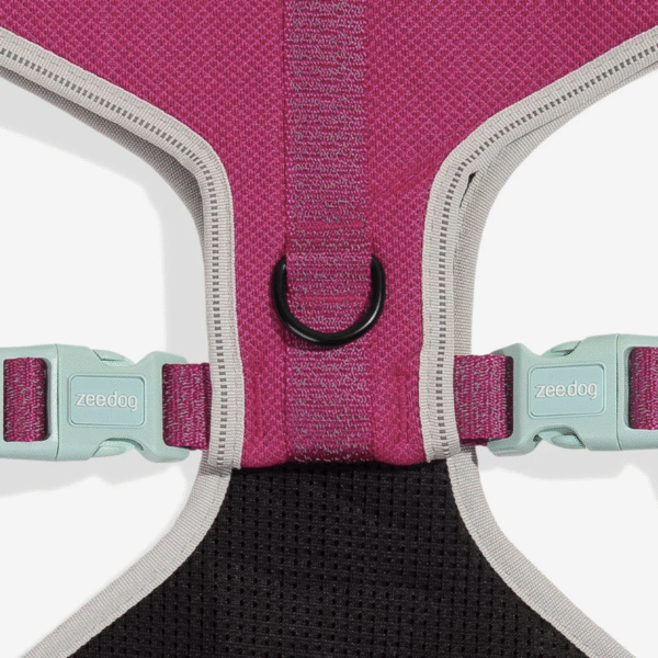 Zeedog Nox Sidus Air Mesh Pechera