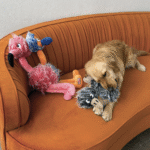 Kong Comfort Jumbo Assorted Xl