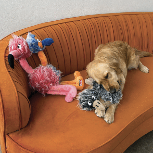 Kong Comfort Jumbo Assorted Xl