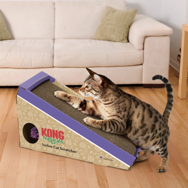 Kong Incline Scratcher