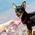 Pet Show Pet Care Cup 350 Ml