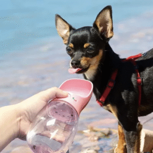Pet Show Pet Care Cup 350 Ml
