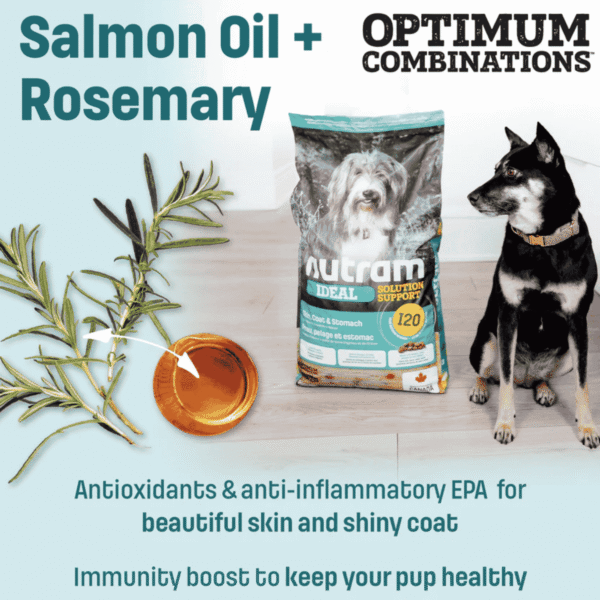 I20 Nutram Ideal Solution Support Skin Coat & Stomach