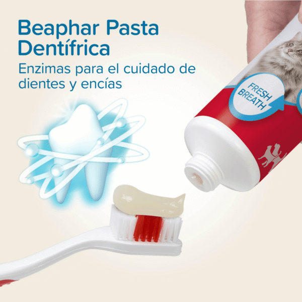 Beaphar Pack Dental