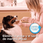 Beaphar Pack Dental