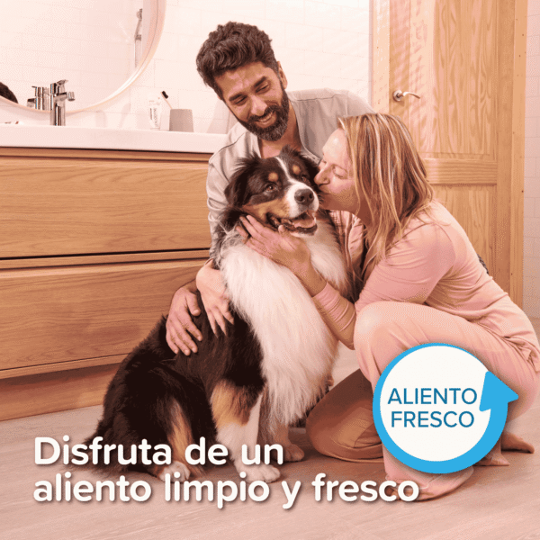 Beaphar Pack Dental
