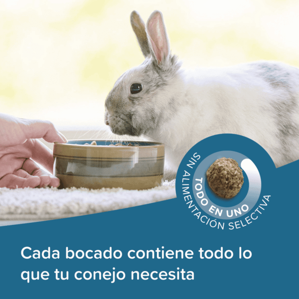 Beaphar Care+ Conejo Adulto