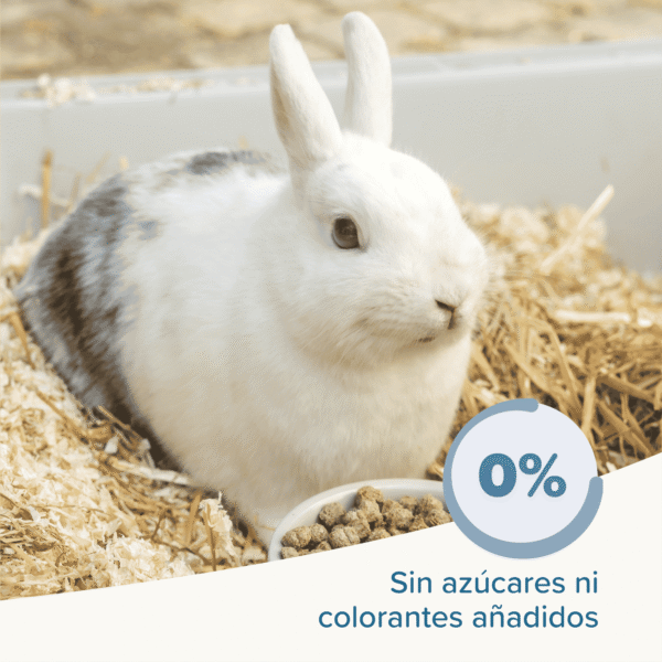 Beaphar Care+ Conejo Adulto