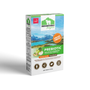 Indomitable Patagonia Prebiotic Apple Ginger