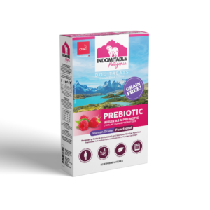 Indomitable Patagonia Prebiotic Raspberry