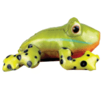 KONG Shieldz Tropics Frog Md