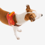 Zeedog Gazelle FlyHarness
