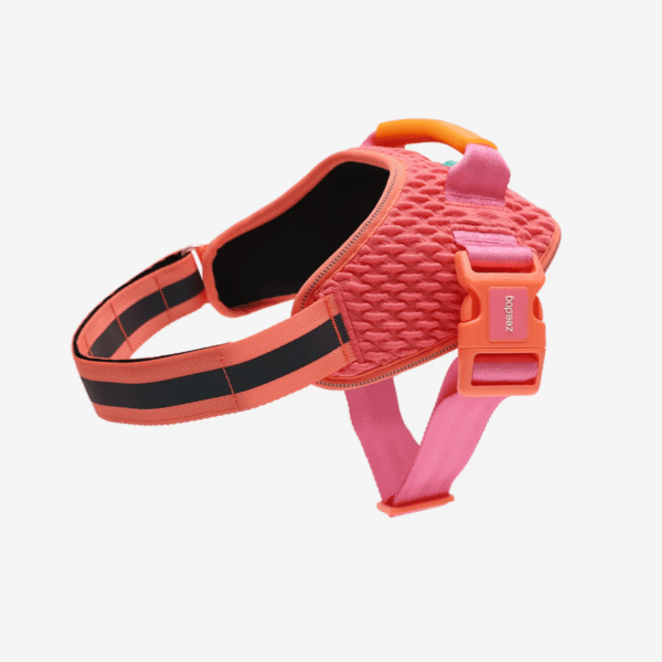 Zeedog Gazelle FlyHarness