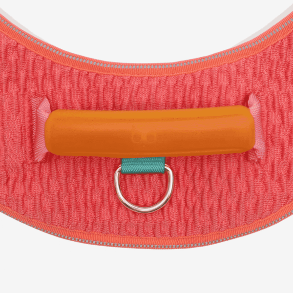 Zeedog Gazelle FlyHarness