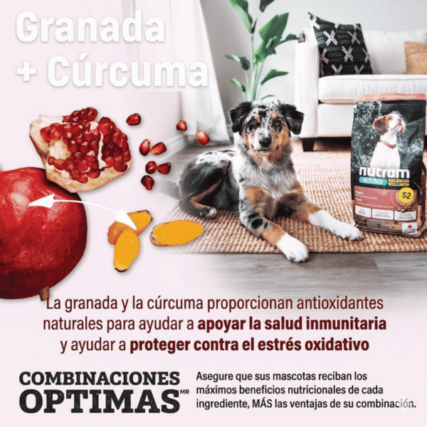 S2 Nutram Sound Balanced Wellness Puppy