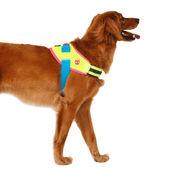 Zeedog CMYK FlyHarness
