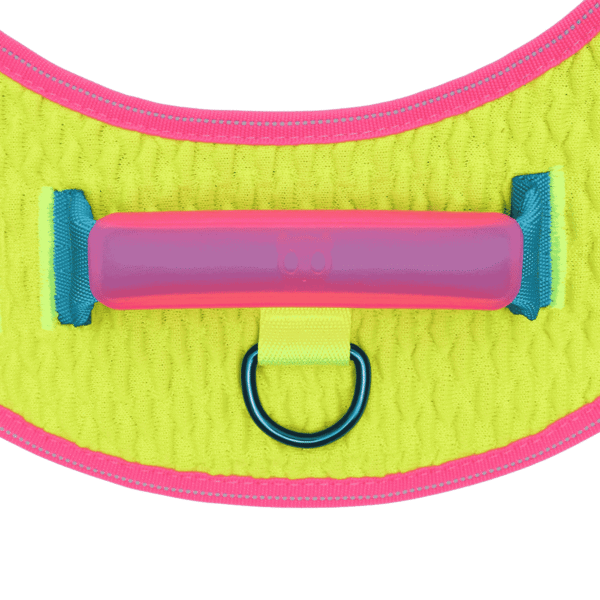 Zeedog CMYK FlyHarness