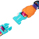 Zeedog H3D Bounce Dog Collar