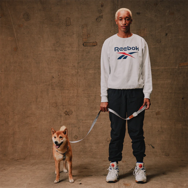 Zeedog Reebok Suede H-Harness