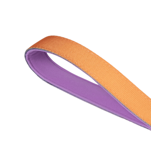 Zeedog Reebok Trekk Correa Ruff