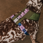 Zeedog Reebpok Trekk Air Mesh Harness (1)