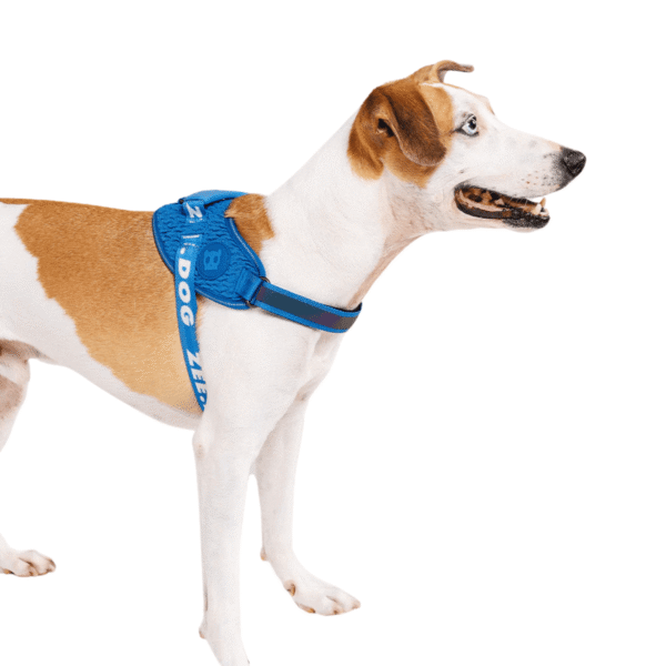 Zeedog Slam Dunk FlyHarness