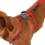 Zeedog Spider-Man H-Harness
