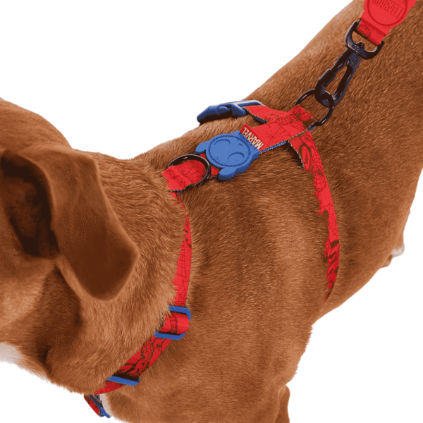 Zeedog Spider-Man H-Harness
