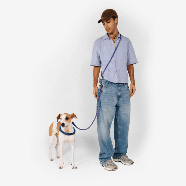 Zeedog Tokyo Correa Hands-Free