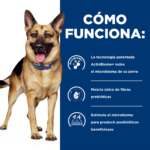 Hills Prescription Diet Canine Gastrointestinal Biome Small Bites